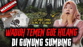 TEMEN GUE HILANG  GUE HARUS GIMANA LAPOR KE PETUGAS PENDAKIAN HOROR GUNUNG SUMBING [upl. by Akemeuwkuhc]