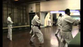 Nunchaku Kihon No Kata Step by Stepflv [upl. by Kavita]