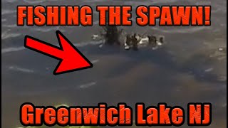 Searching For Spawning Bass at Greenwich Lake NJ [upl. by Nevuer770]