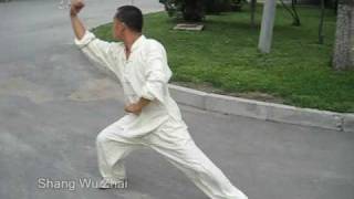 Jing Gang Ba Shi  Green Dragon Slow  Master Zhou Jingxuan [upl. by Joelie]