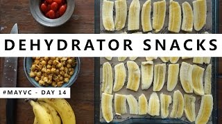 Dehydrator Snacks  Day 14 mayvc [upl. by Nnylassej]