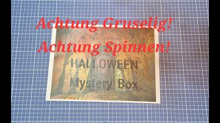 mysterybox halloween2024 von PapierundFeder [upl. by Llemaj221]