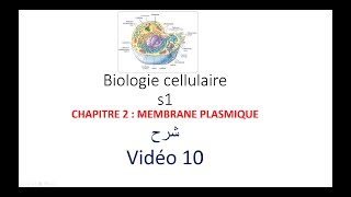 biologie cellulaire s1 vidéo 010  la membrane plasmique شرح [upl. by Lennahs]