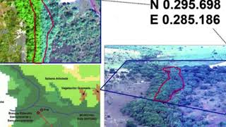 Estudio bitemporal de la vegetación en los Llanos Centro Orientales de Venezuela [upl. by Backer]