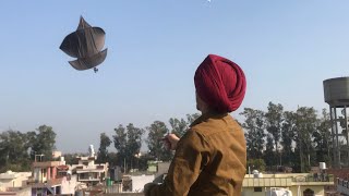 Flying kites Festival  BIR RAMGARHIA [upl. by Modie807]