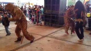 Danza de los Lobitos San Nicolas Coatepec 10SEP16 [upl. by Eivol]