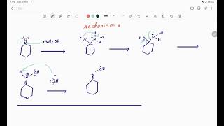 cyclohexanone oxime synthesis mechanism chemicalreaction [upl. by Llerehc]