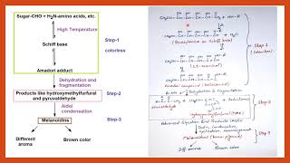 Maillard Reaction  Food Chemistry  Food Safety Officer  CFSO  Food technology [upl. by Fawne372]