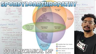 Introduction to SPONDYLOARTHRITIS  Rheumatology [upl. by Nedyaj]