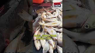 Kelong Popular Pulau Careymemang tak kecewakan Geng Emak Emakladyangler duniaemakemak fishing [upl. by Sussman]