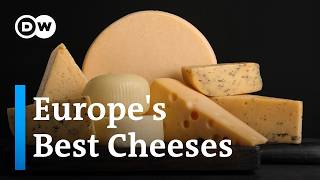 How cheese is made in Europe [upl. by Ardried]