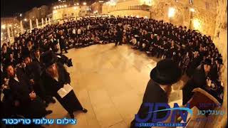 Bobov45 Rebbe Davening At The Kosel  Adar I 5784 [upl. by Rowan]