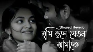 Tumi Vule Jeona Amake  তুমি ভুলে যেওনা আমাকে  Habib Wahid  Slowed Reverb [upl. by Renrag]