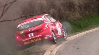 Passage de sanglier Rallye du Touquet 2014 HD [upl. by Artsa544]