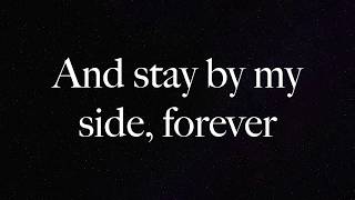 Stay By My Side  Stephane Huguenin Lyrics Velvet [upl. by Dottie]