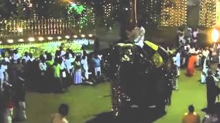 Perahera elephant out of control Kelaniya January 13 2013 [upl. by Yelrak]