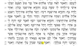 Torah Reading  Genesis Chapter 30 HD [upl. by Bevers]