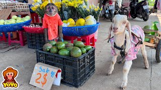 YoYo JR takes the goat to harvest vegetables and goes market sell  full version [upl. by Yvaht]