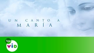 El Ángel del Señor anuncio a María Un Canto a María  Tele VID [upl. by Backer]