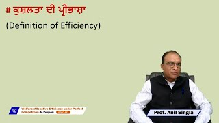 Welfare Allocative Efficiency under Perfect Competition In Punjabi [upl. by Nelubez]