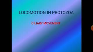 Locomotion in Protozoa  Ciliary movement [upl. by Koosis214]