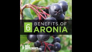 Aronia Berry  aronia berry benefits  aronia berry side effects  aronia berry extract [upl. by Enilauqcaj]