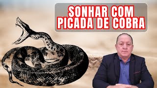 O QUE SIGNIFICA SONHAR COM PICADA DE COBRA [upl. by Durrell]