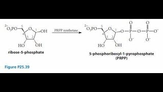 Synthesis of Phosphoribosyl Pyrophosphate PRPP Explanation [upl. by Hakilam211]