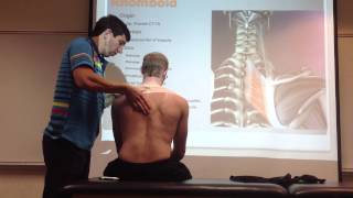 Rhomboid Manual Therapy Palpation and Stretch [upl. by Julianna]