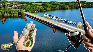 Hecht Angeln an der Talsperre  Erfolgreich mit diesen Ködern 😱 [upl. by Judsen605]