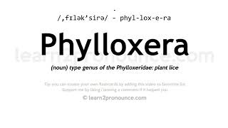 Pronunciation of Phylloxera  Definition of Phylloxera [upl. by Reifnnej392]