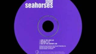 The Seahorses  Dreamer BSide [upl. by Gusta]