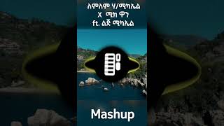 Lemlem Hailemichael X Meek1one ft LiJ Michael Mashup ethiopianmusic lijmichael music [upl. by Llerrej758]