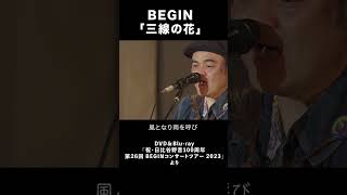 DVD＆Bluray「祝・日比谷野音100周年 第26回 BEGINコンサートツアー 2023」begin ビギン 野音 沖縄 三線の花 [upl. by Ekralc]