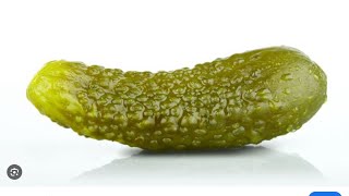 DILL PICKLE RATING 😡 [upl. by Eelyac]