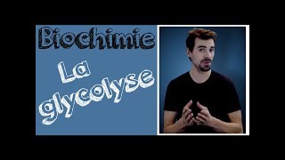 Cours de biochimie Glycolyse [upl. by Friedrich176]