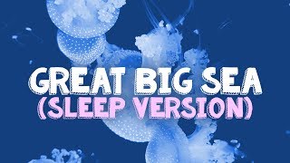 quotGreat Big Seaquot instrumental sleep lullaby version  Danny Go Kids Sleep Music [upl. by Sherye]