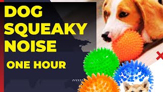 dog squeaky noise 1 hour  dog squeaky noise  dog squeaky noise head tilt [upl. by Ardnohsed98]