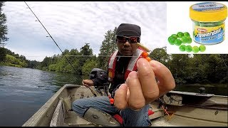 Fishing with Powerbait How to setup a rig for catching trout [upl. by Charmion820]