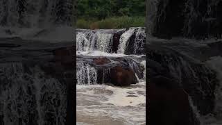 As Cascata Do Saltão No Rio Corimba Em Barbosa Ferraz PR [upl. by Tallia]