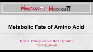 Metabolic fate of amino acid [upl. by Aremahs202]