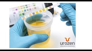 UROZEN Causas de las Infecciones Urinarias Recurrentes [upl. by Xonel]