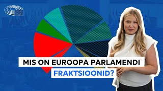 Tutvu Euroopa Parlamendi fraktsioonidega [upl. by Eesdnil752]