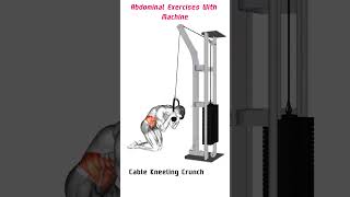 Abdominal Exercises With Machine [upl. by Thornie832]