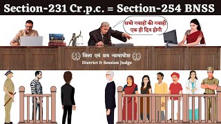 Section 231 Crpc  Section 254 BNSS  Evidence for prosecution  अभियोजन के लिए साक्ष्य [upl. by Rorie]