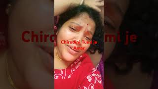 Chirodini Tumi je Amar song bollywood shorts youtube Manidipas Daily vlog [upl. by Fairlie]