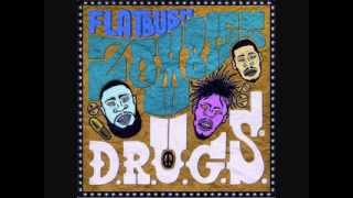 Flatbush Zombies  Intro DRUGS [upl. by Eiclehc990]