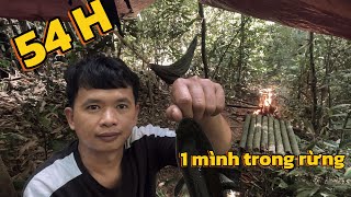 54H Sinh Tồn Một Mình Trong Rừng Cắm Câu Bắt Cá Làm Thức Ăn P1 [upl. by Olleina]