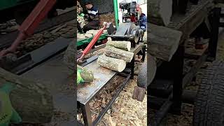 Log Splitter logsplitter woodworking [upl. by Coleen]