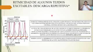 FISIOLOGÍA POTENCIALES DE MEMBRANA y POTENCIALES DE ACCIÓN [upl. by Nageam268]